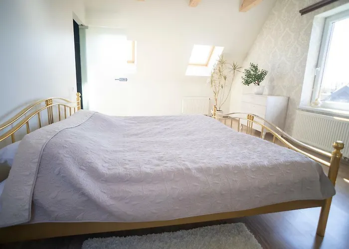 Sveciu Namai Lanko G. 4* Klaipeda